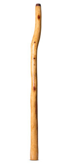 Epoxy Resin Finish Didgeridoo (TM427)